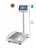 TBWS Washdown Bench Scale